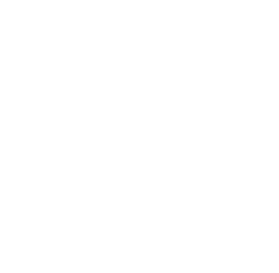 light logo